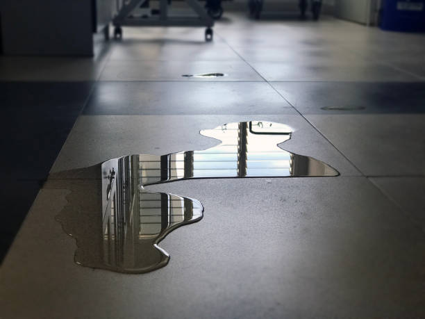 Best 24-hour water damage restoration  in Chapel Hill, TN