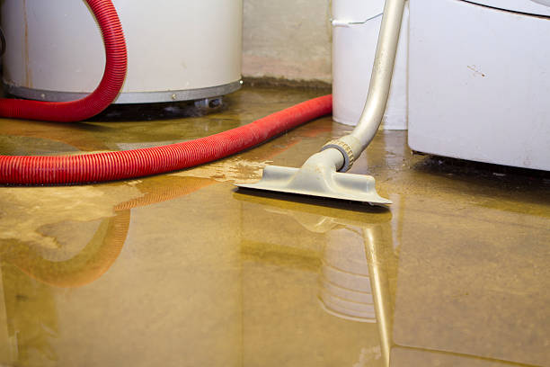 Professional Water damage restoration in Chapel Hill, TN